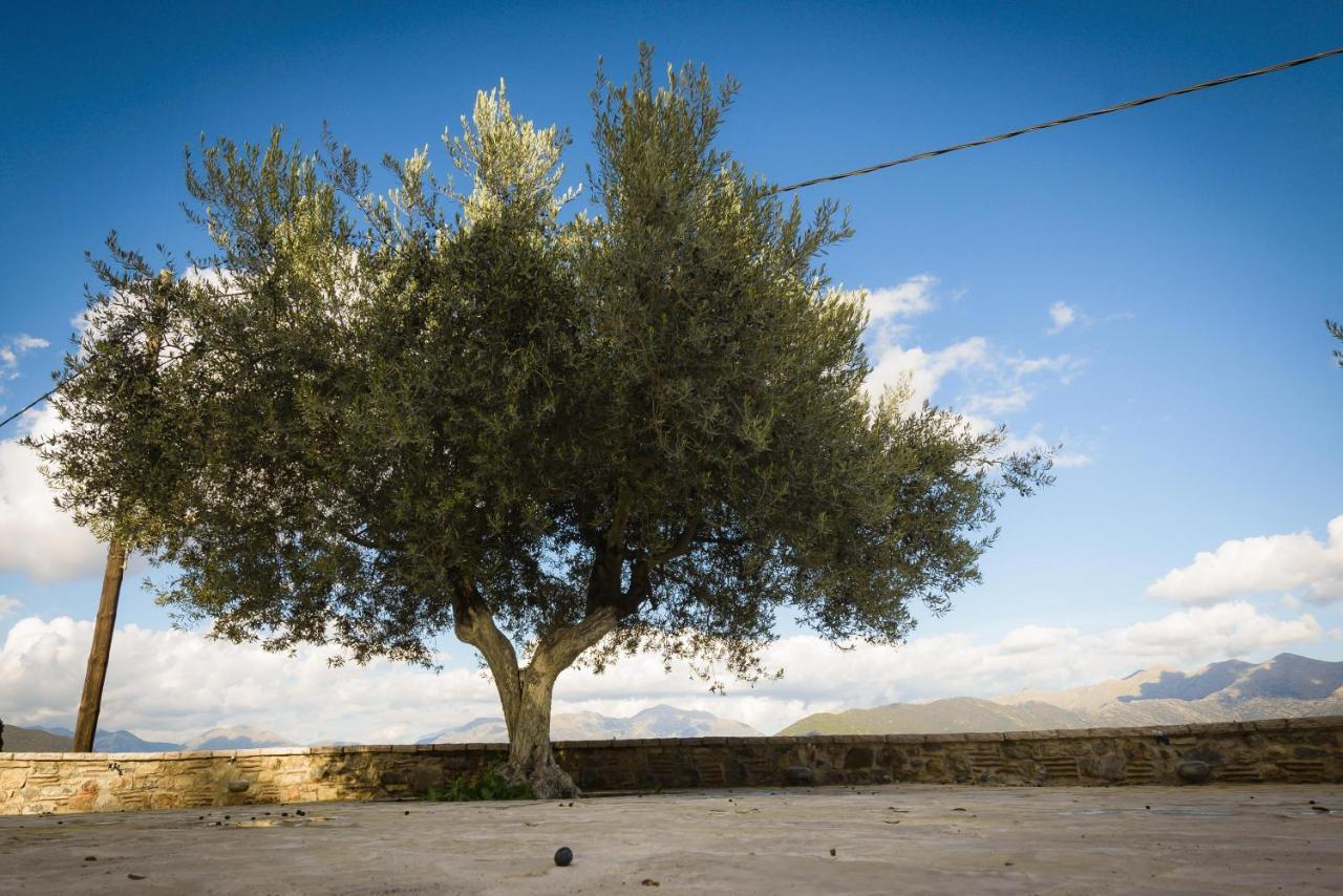 Αρχοντικό Γκιντώνη Appartement Levídhion Buitenkant foto