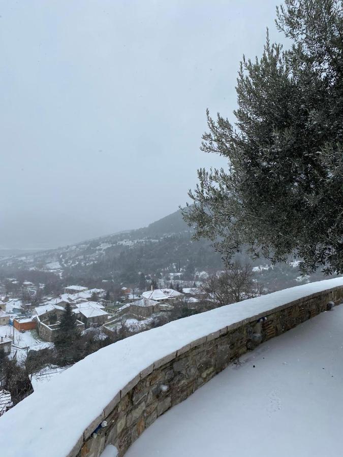 Αρχοντικό Γκιντώνη Appartement Levídhion Buitenkant foto